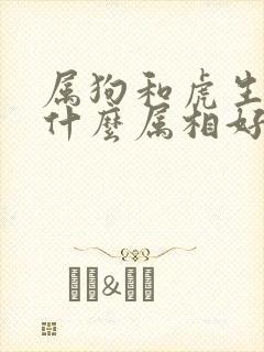 属狗和虎生孩子什么属相好