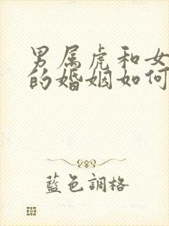男属虎和女属狗的婚姻如何