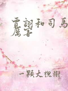 贾诩和司马懿谁厉害