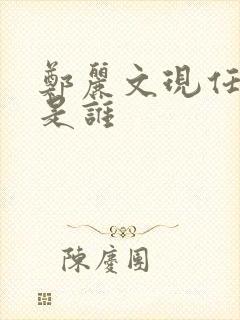 郑丽文现任丈夫是谁