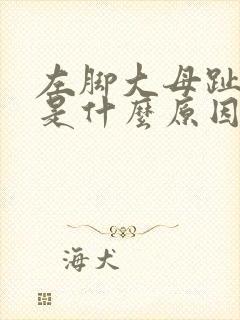 左脚大母趾麻木是什么原因