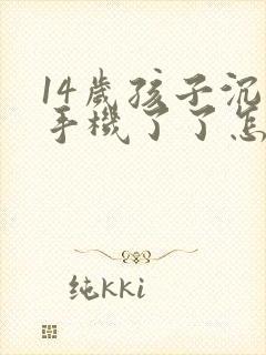 14岁孩子沉迷手机了了怎么办