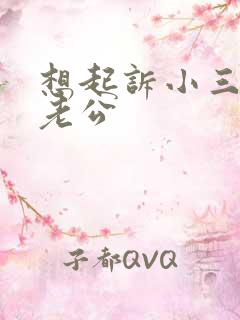 想起诉小三但是老公