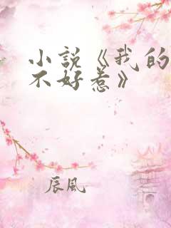 小说《我的医妃不好惹》