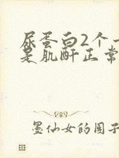 尿蛋白2个十但是肌酐正常怎么回事