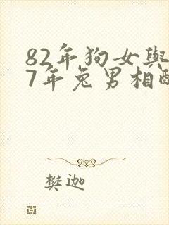 82年狗女与87年兔男相配吗