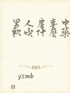 男人房事中途疲软吃什么药