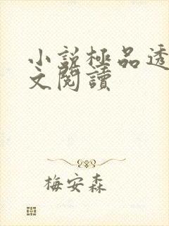 小说极品透视全文阅读