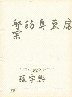 哪的臭豆腐最正宗