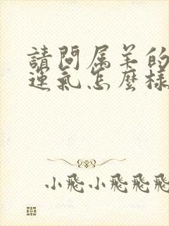 请问属羊的今年运气怎么样