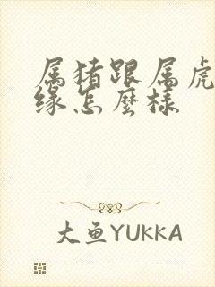 属猪跟属虎的姻缘怎么样