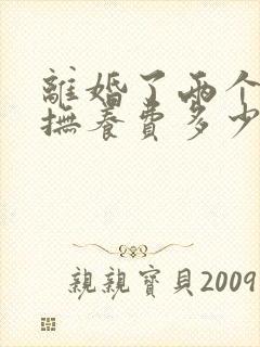 离婚了两个孩子抚养费多少钱一个月