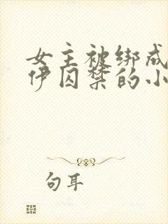 女主被绑成木乃伊囚禁的小说