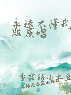 永远不懂我dj版原唱