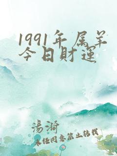 1991年属羊今日财运