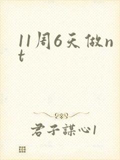 11周6天做nt