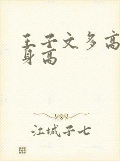 王子文多高实际身高