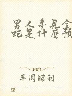 男人梦见金色的蛇是什么预兆