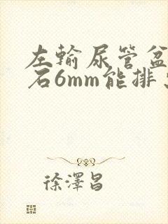 左输尿管盆段结石6mm能排出来吗