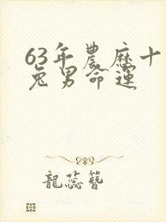 63年农历十月兔男命运