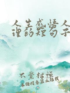 人生感悟人生哲理的短句子