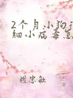 2个月小狗得了细小病毒怎么办