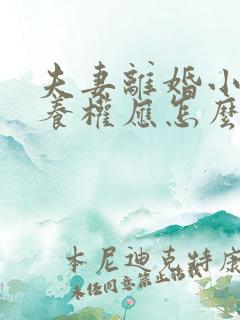 夫妻离婚小孩抚养权应怎么判