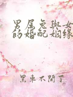 男属兔与女属龙的婚配姻缘怎样