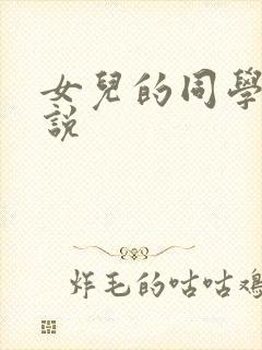 女儿的同学的小说