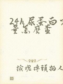 24h尿蛋白定量怎么查