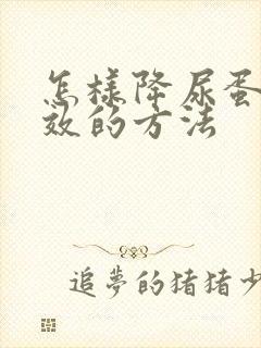 怎样降尿蛋白有效的方法