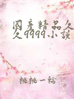 国产精品久久久久9999小说