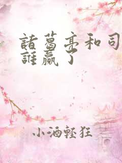 诸葛亮和司马懿谁赢了