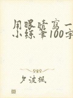 用眼睛写一段话小练笔100字