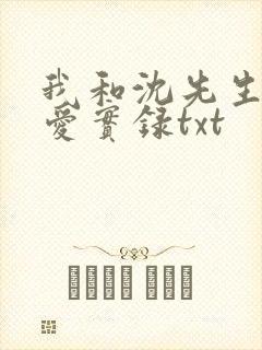 我和沈先生的恋爱实录txt