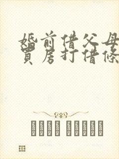 婚前借父母的钱买房打借条离婚怎么处理