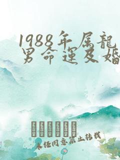 1988年属龙男命运及婚姻