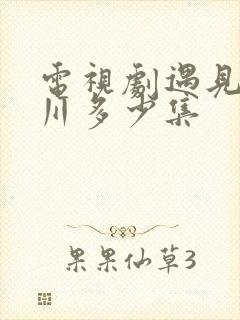 电视剧遇见王沥川多少集