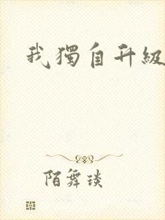 我独自升级小说