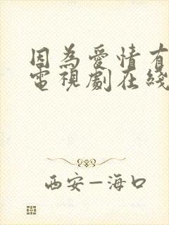 因为爱情有幸福电视剧在线