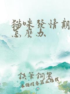 猫咪发情期乱尿怎么办