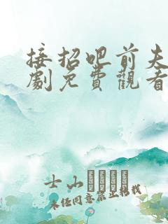 接招吧前夫哥短剧免费观看