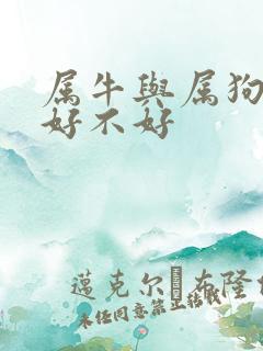 属牛与属狗婚配好不好