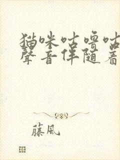 猫咪咕噜咕噜的声音伴随着呼吸声