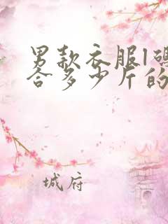 男款衣服l码适合多少斤的人穿