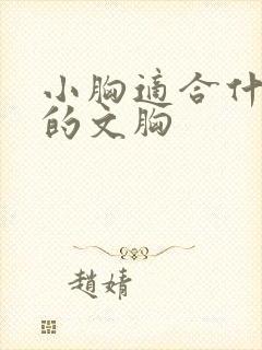 小胸适合什么样的文胸