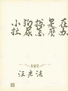 小狗总是在家里拉尿怎么办