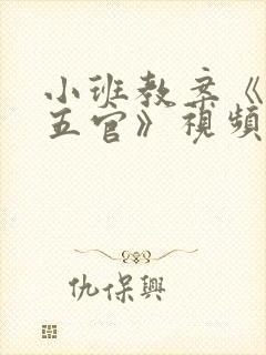 小班教案《认识五官》视频