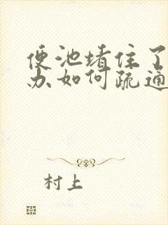 便池堵住了怎么办如何疏通