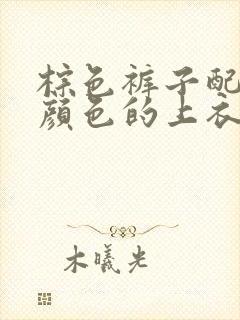 棕色裤子配什么颜色的上衣好看